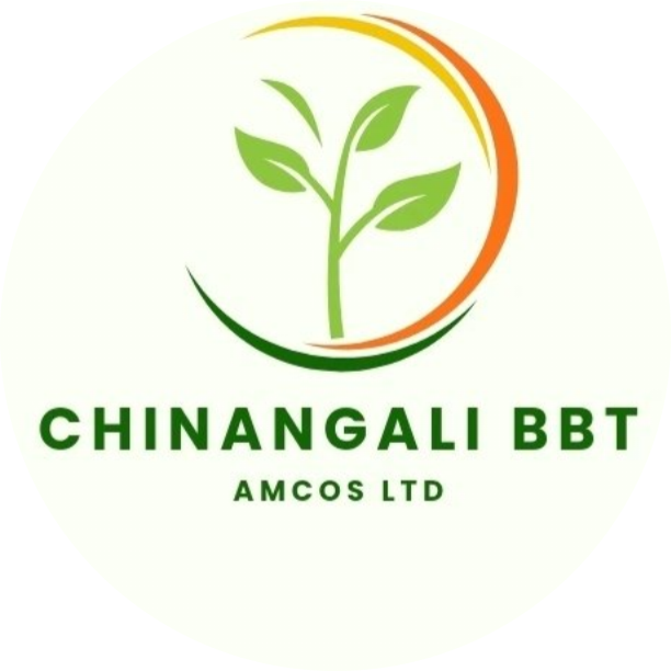 bbt logo for partners supporters section on about page