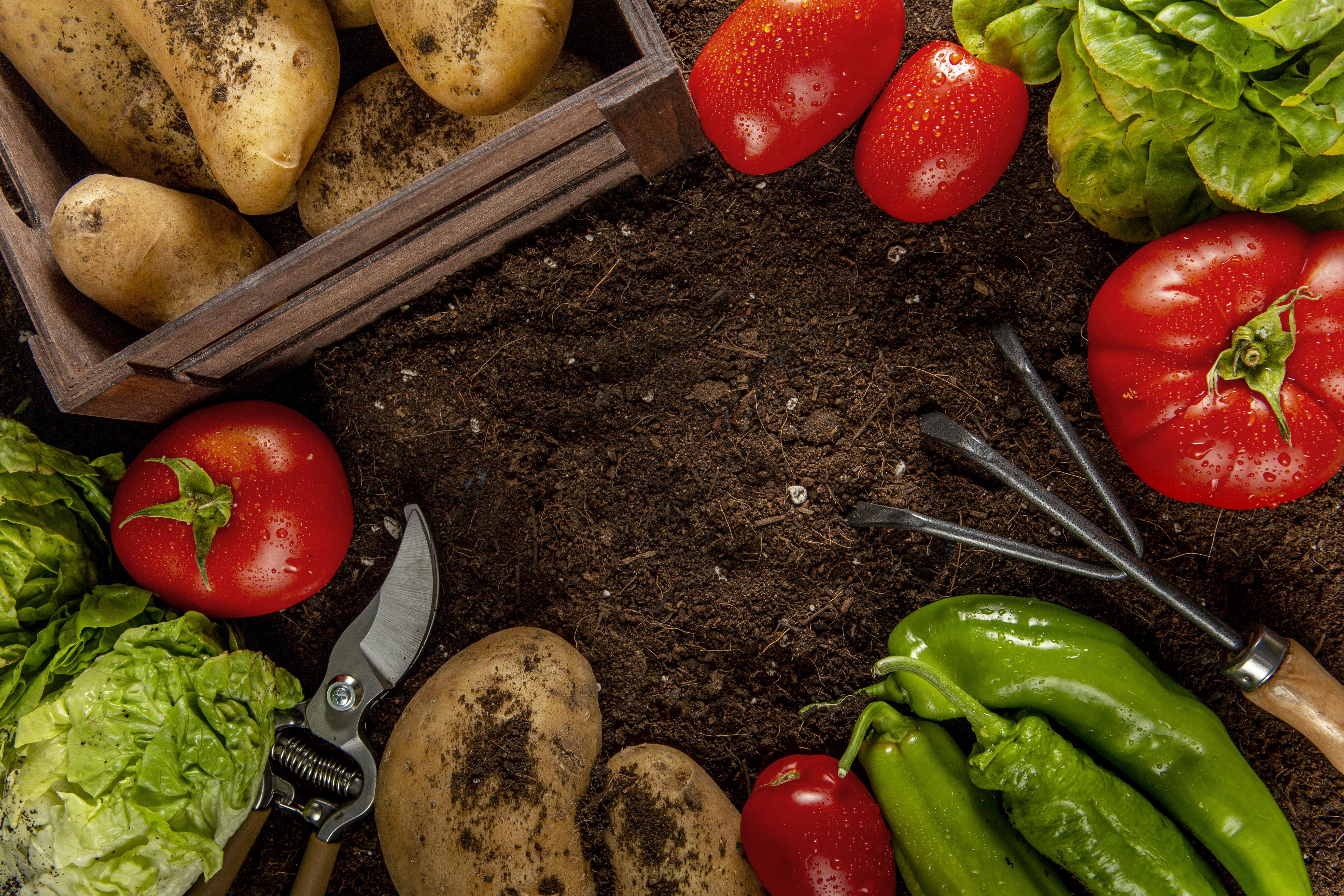 Horticulture Products